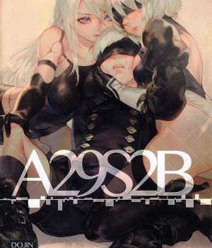 A29S2B